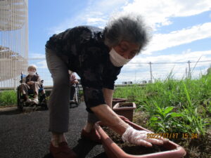 花植え