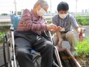 花植え