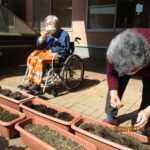 花植え